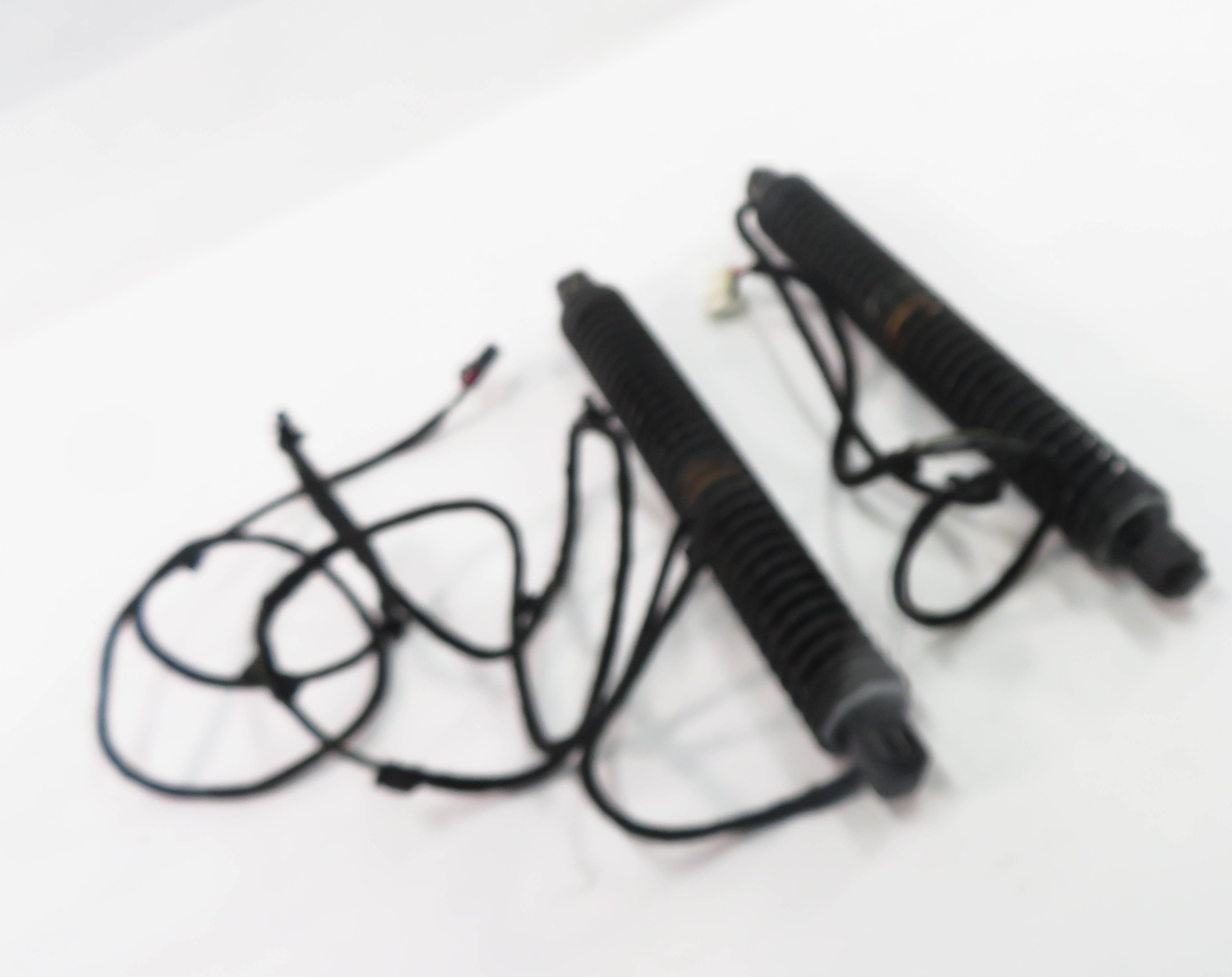 2012 BMW 750i (F01) REAR ELECTRIC TRUNK SHOCK STRUT SET-2 — exact item pictured