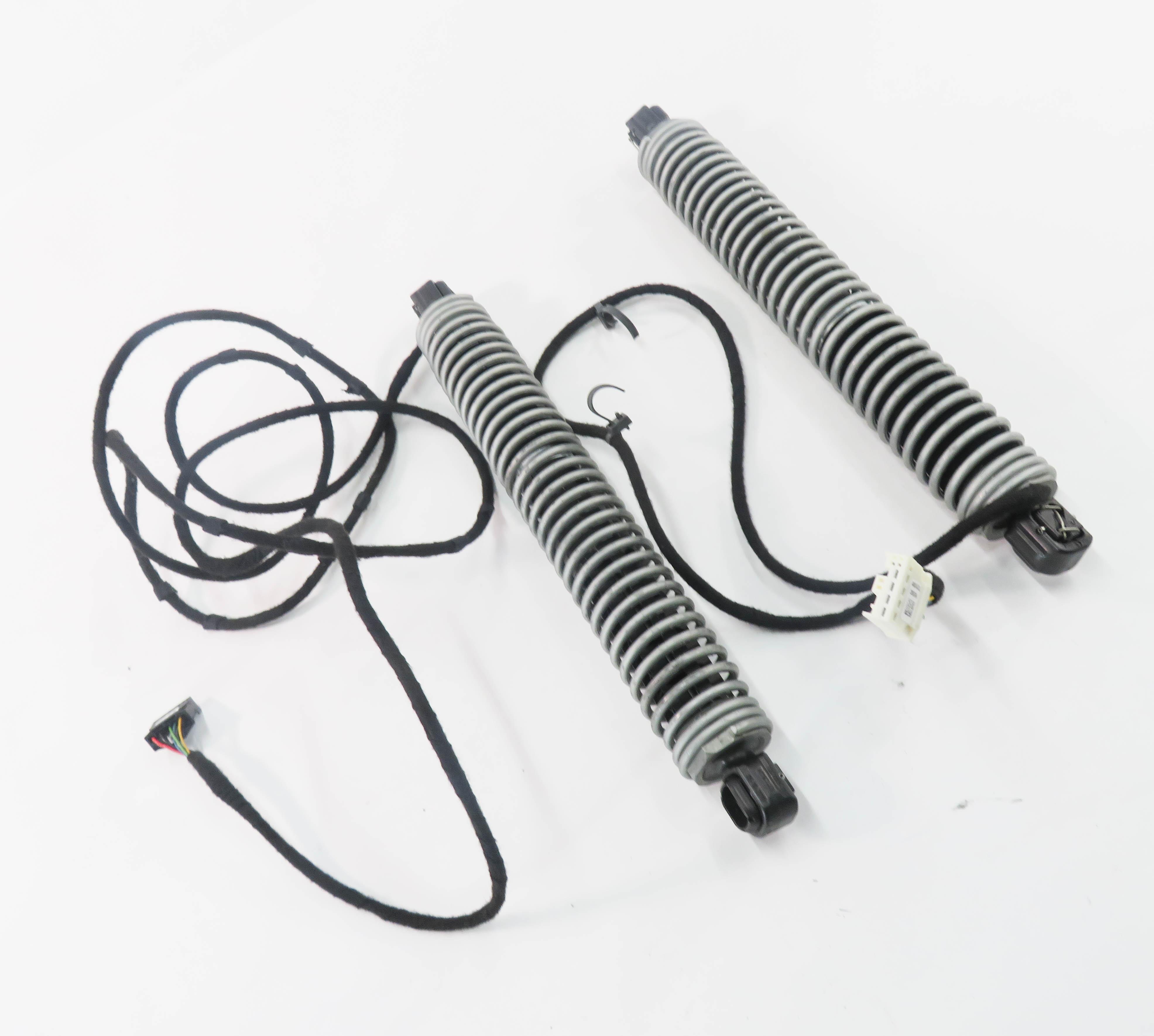 2011 BMW 550i (F10) REAR LEFT & RIGHT ELECTRIC TRUNK SHOCK STRUT SET-2 — exact item pictured