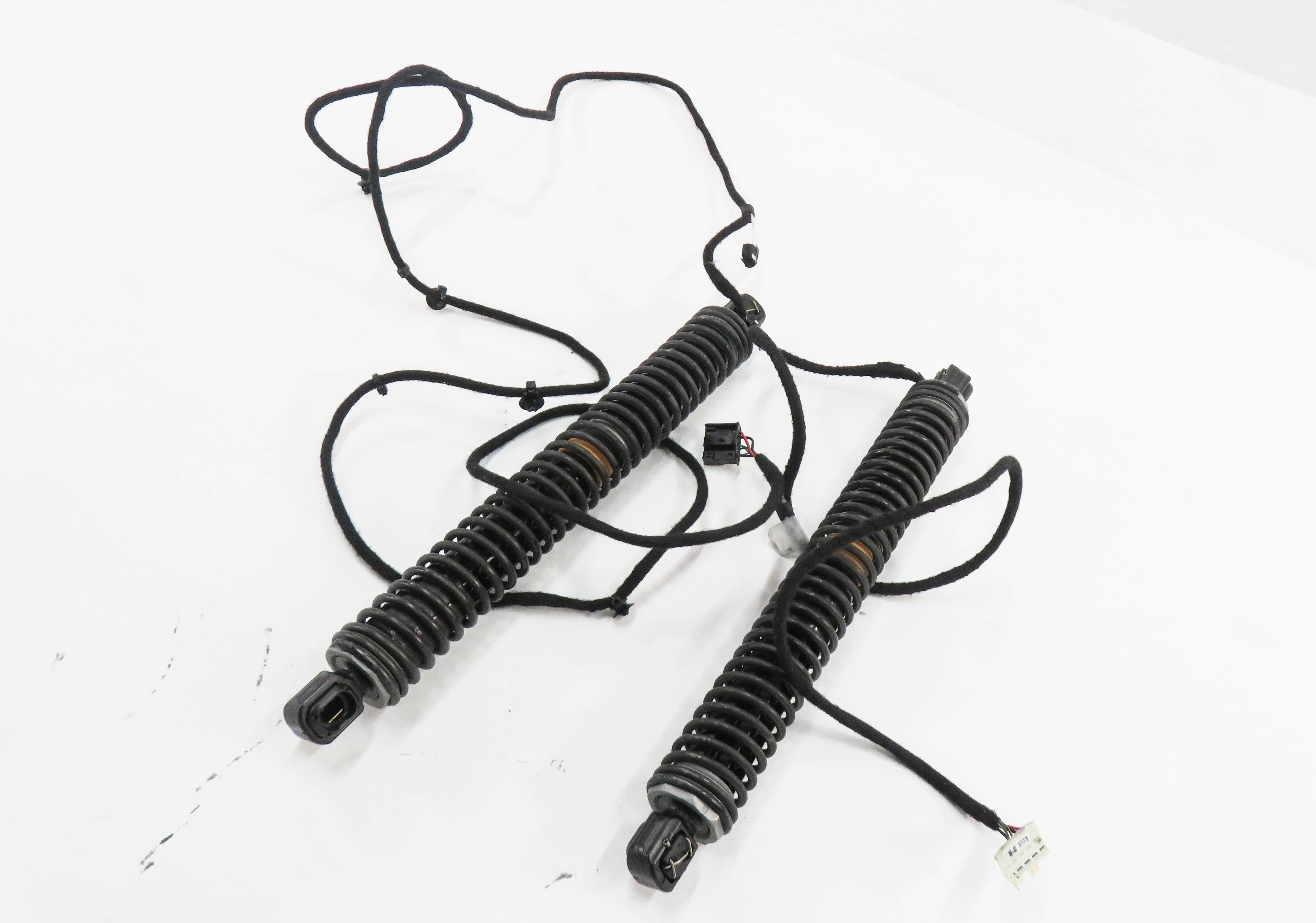 2011 BMW 750i (F01) LEFT & RIGHT REAR TRUNK SHOCK STRUT SET-2 (ELECTRIC) — exact item pictured