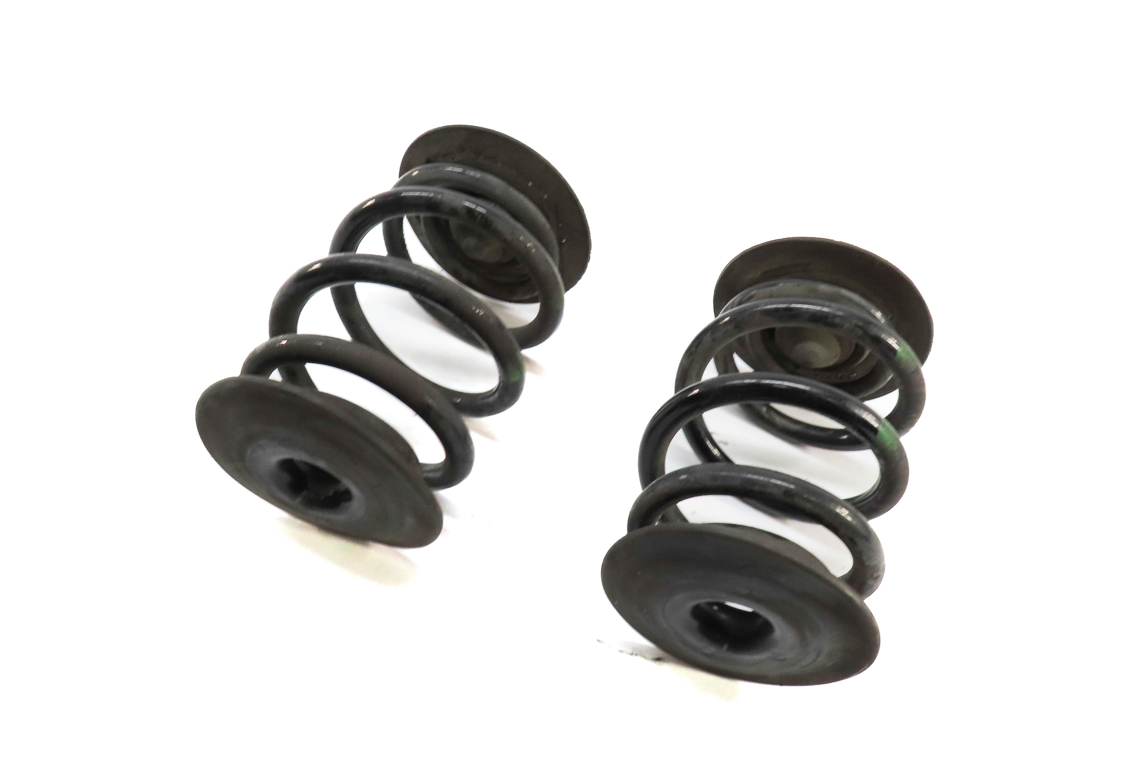 2003-2008 BMW Z4 (E85) LEFT & RIGHT REAR STANDARD SUSPENSION COIL SPRING SET — exact item pictured