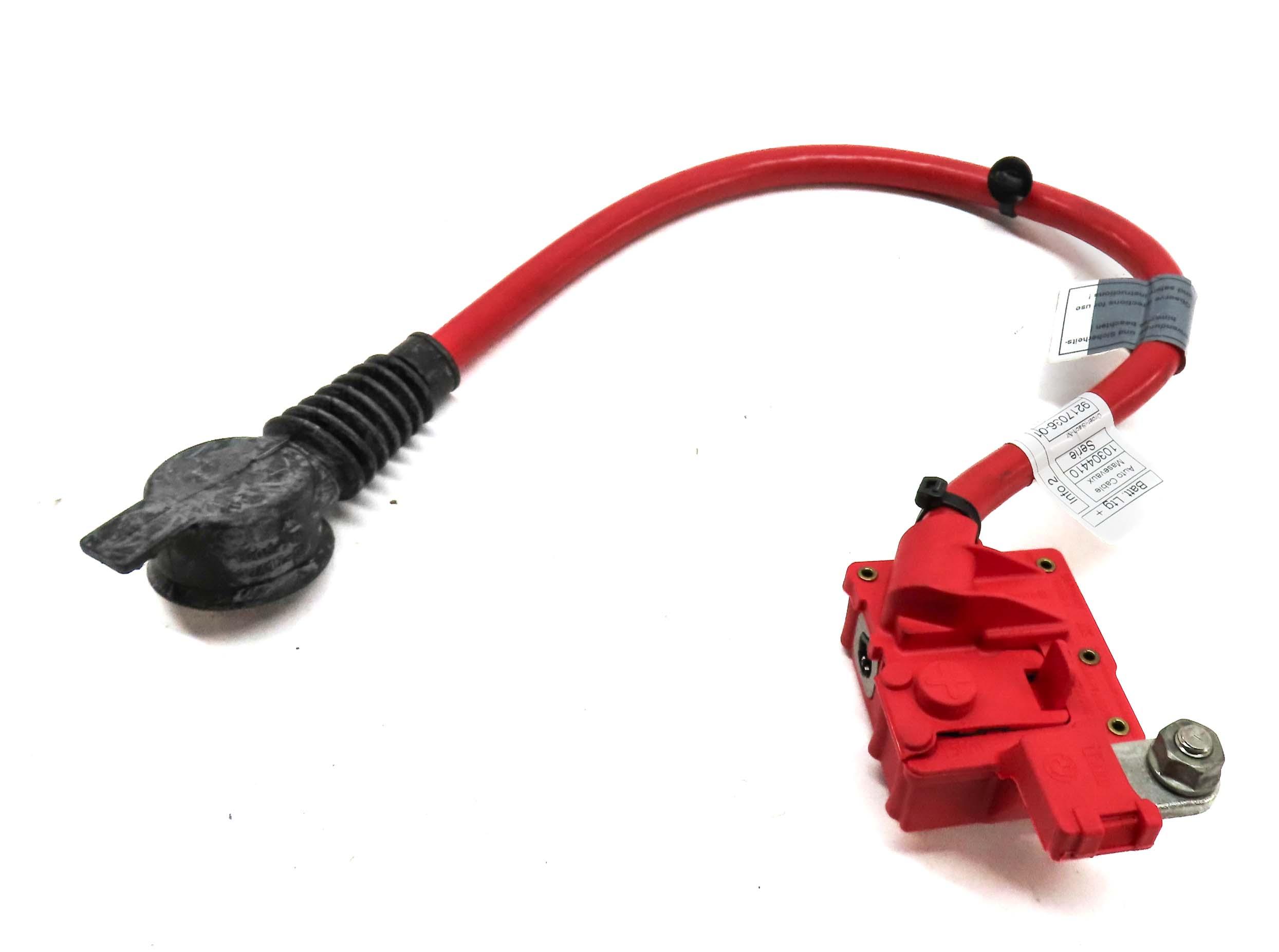 2011 BMW 535i SEDAN (F10) POSITIVE BATTERY CABLE 9217034 — exact item pictured