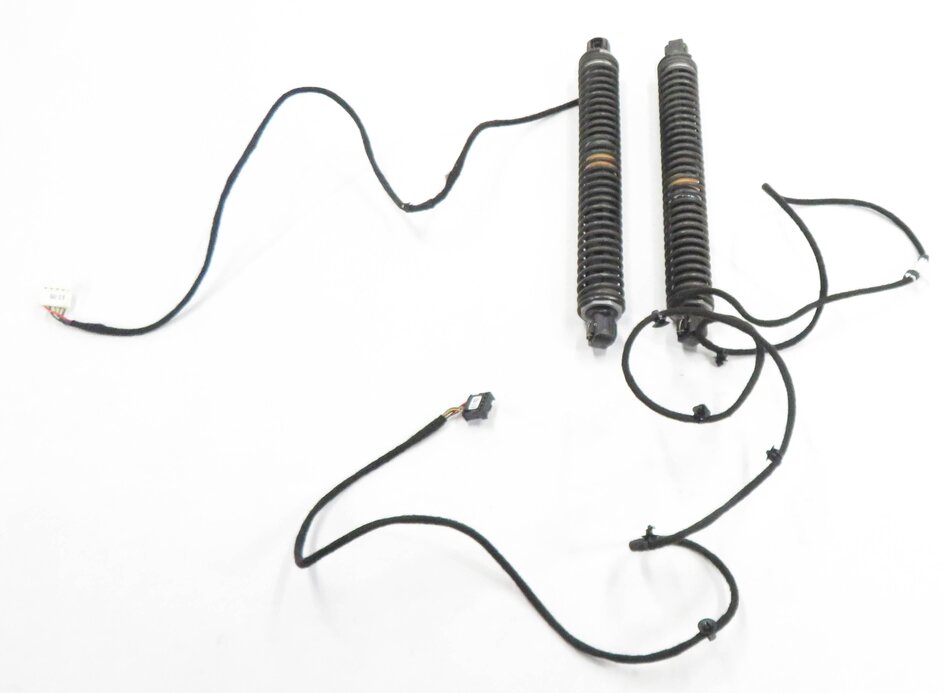 Thumbnail 4: 2011 BMW 750i (F01) REAR LEFT & RIGHT TRUNK SHOCK STRUT SET-2