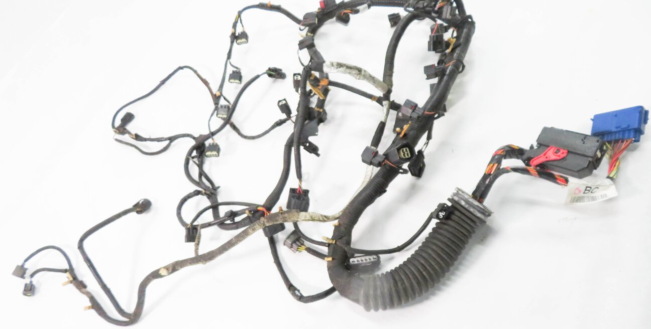 Thumbnail 2: 2006 RANGE ROVER (L322) 4.4L V8 ENGINE WIRE WIRING HARNESS LOOM