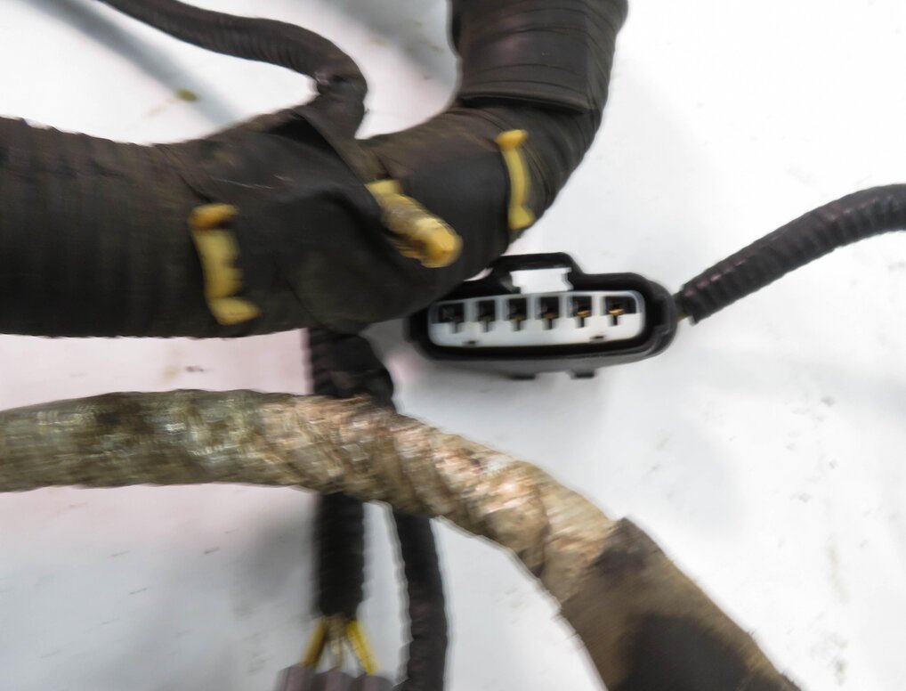 Thumbnail 8: 2006 RANGE ROVER (L322) 4.4L V8 ENGINE WIRE WIRING HARNESS LOOM