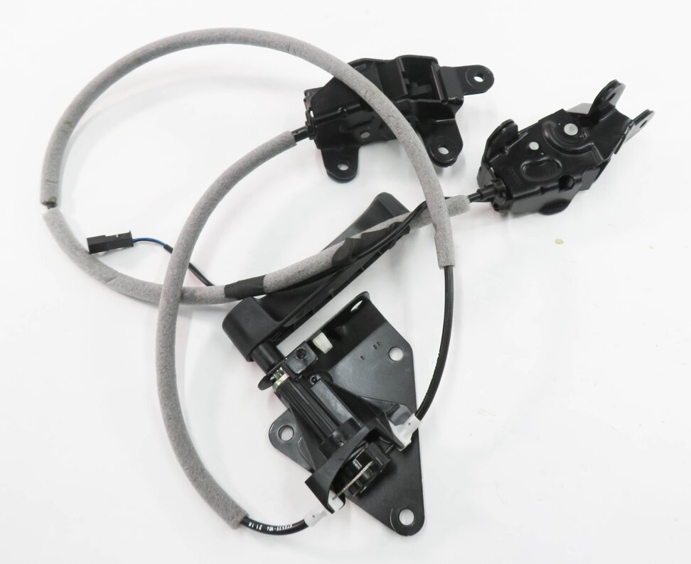 Thumbnail 14: 2011 BMW X5 (E70) REAR TAILGATE RELEASE HANDLE w/ LATCHES