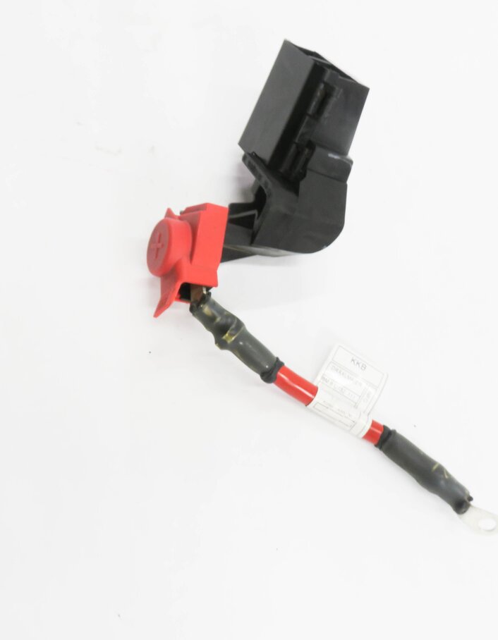 Thumbnail 4: 2016 BMW X5 (F15) POSITIVE BATTERY JUMP POST TERMINAL