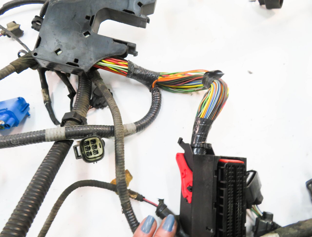 Thumbnail 8: 2006 RANGE ROVER SPORT (L320) 4.2L SUPERCHARGED ENGINE WIRE WIRING HARNESS