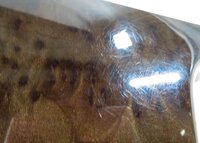 Thumbnail 5: 2011 AUDI A8 (D4 4H) DASH DOOR CONSOLE WOOD GRAIN TRIM PANEL SET (VAVONA WOOD)