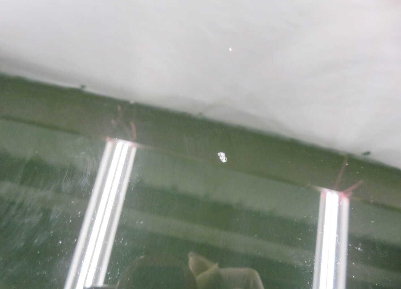 Thumbnail 8: 2011-2018 PORSCHE CAYENNE (958) PANORAMIC SUNROOF GLASS WINDOW (REAR)