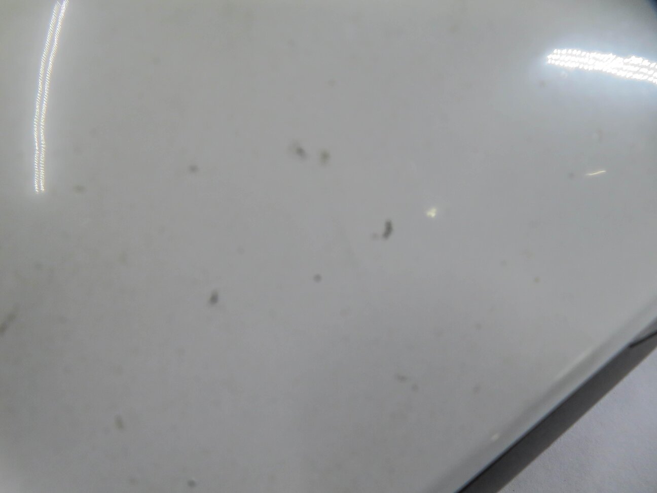 Thumbnail 8: 2010-2016 AUDI A4 (B8 8K) LEFT FRONT DRIVER HEATED DOOR MIRROR (IBIS WHITE T9)