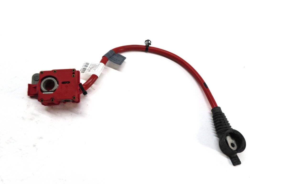 2011 BMW 535i (F10) POSITIVE BATTERLY CABLE w/ TERMINAL & SRS BLOWOUT FUSE