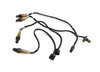 2014 BMW X5 F15 4.4L TWIN TURBO N63 ENGINE PRE POST CAT O2 OXYGEN SENSOR SET 4