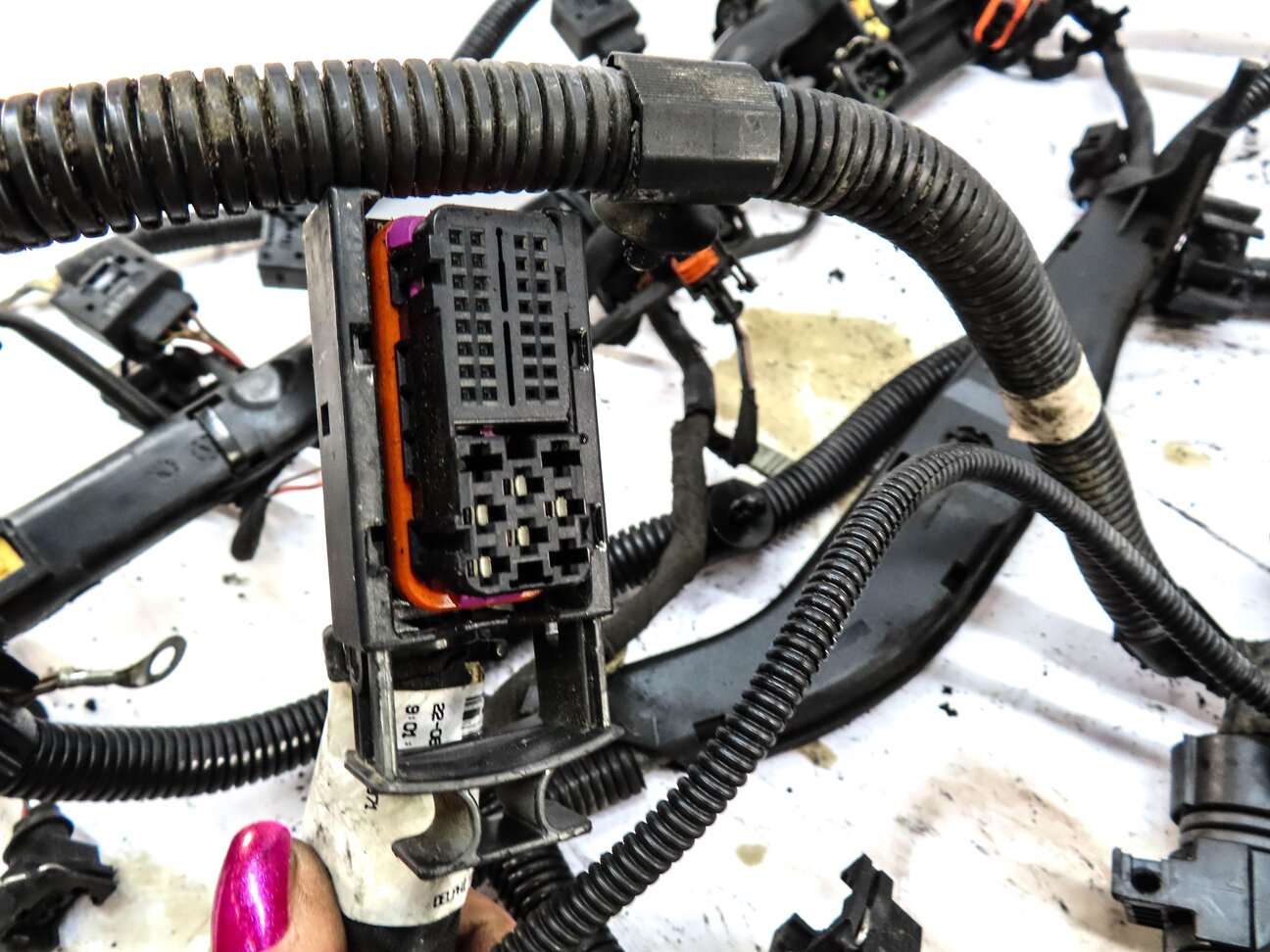 Thumbnail 8: 2004 PORSCHE CAYENNE (955) 4.5L NON-TURBO AUTO AWD ENGINE WIRE WIRING HARNESS