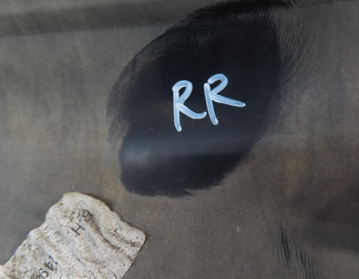 Thumbnail 6: 2013 LAND RANGE ROVER EVOQUE (L538) REAR RIGHT LOWER DOOR MOULDING TRIM (BLACK)