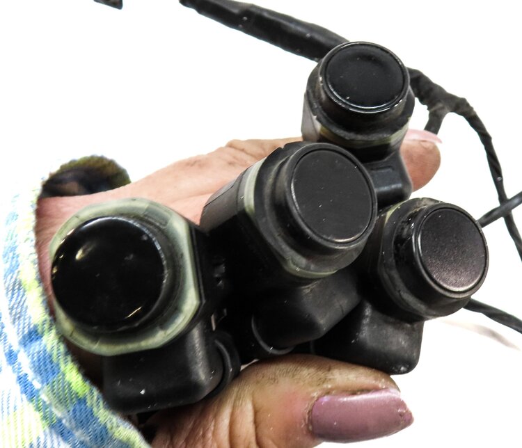 Thumbnail 5: 2012 BMW X5 (E70) REAR PARK ASSIST PDC SENSOR SET4 (BLACK) w/ WIRING HARNESS
