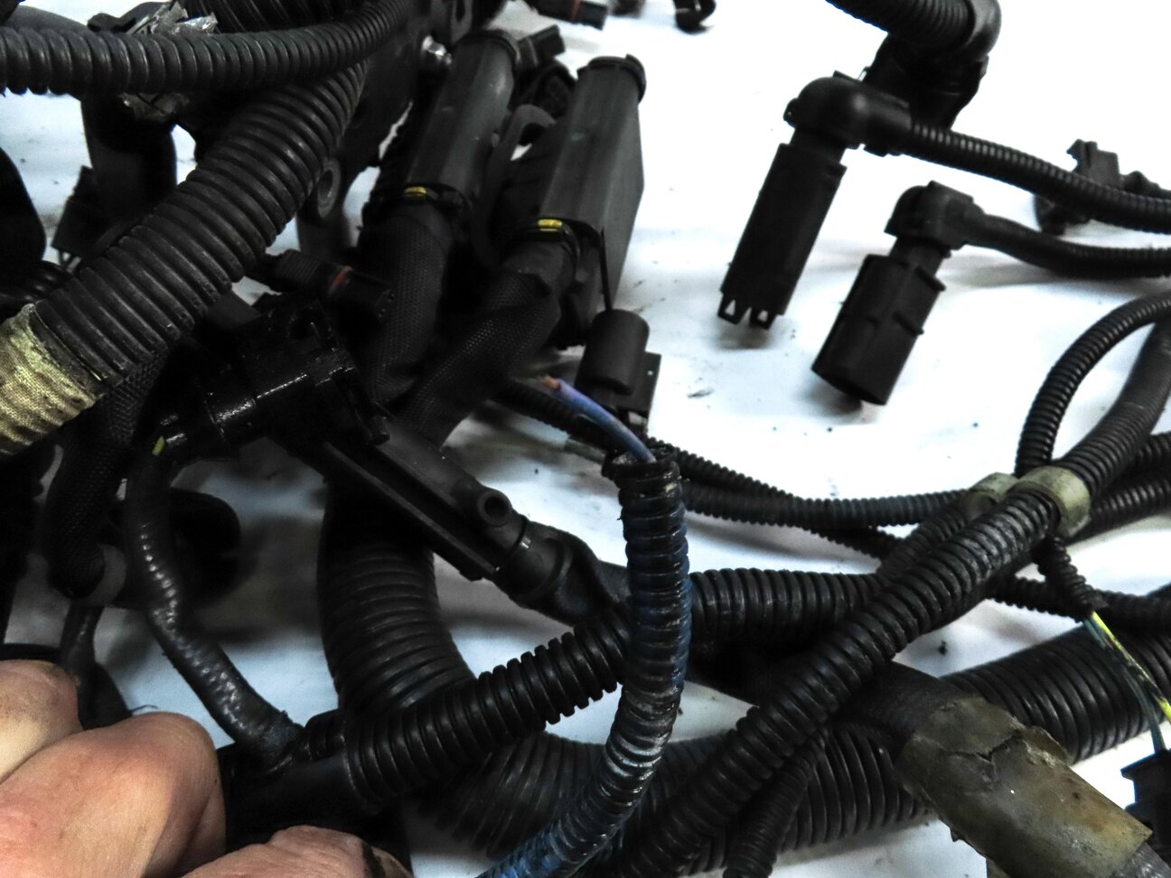 Thumbnail 11: 2013 BMW M5 ///M (F10) AUTO 4.4L S63 TWIN TURBO ENGINE WIRE WIRING HARNESS LOOM