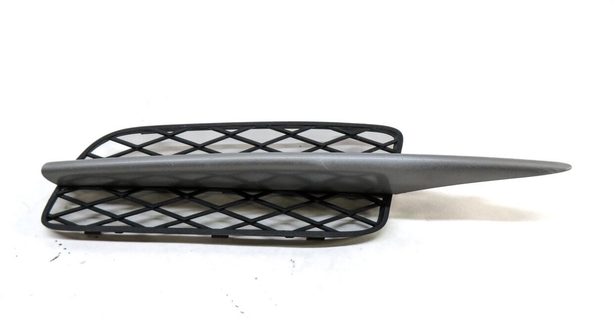Thumbnail 2: 2007-2010 BMW X5 (E70) LEFT FRONT DRIVER LOWER BUMPER GRILLE (TITANIUM FINISH)