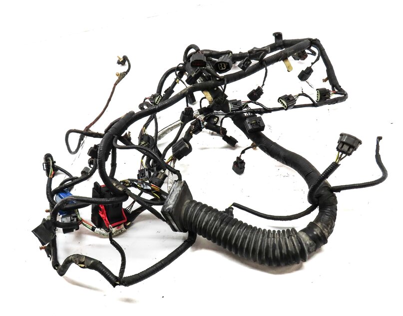Thumbnail 2: 2006 LAND RANGE ROVER (L322) 4.4L ENGINE WIRE WIRING HARNESS 4H43-12B637-BC