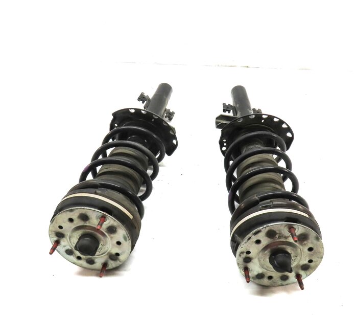Thumbnail 4: 12-19 RANGE ROVER EVOQUE L538 REAR LEFT & RIGHT STANDARD SUSPENSION SHOCK STRUT