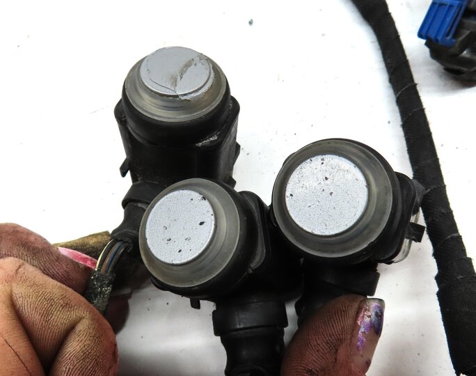 Thumbnail 4: 2008 MERCEDES CLS63 AMG ///AMG W219 FRONT PDC SENSOR SET6 SILVER & WIRE HARNESS