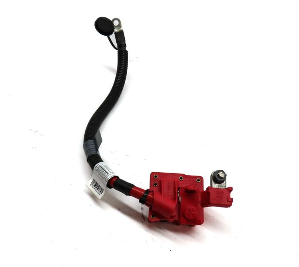 Thumbnail 1: 2012 BMW X5 (E70) POSITIVE SRS BATTERY CABLE