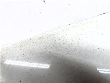 Thumbnail 8: 2014 AUDI Q5 (B8 8R) REAR LEFT EXTERIOR LOWER DOOR TRIM MOULDING (White)