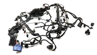 Thumbnail 2: 2010 LAND ROVER LR4 (L319) 5.0L NON SUPER ENGINE WIRE WIRING HARNESS