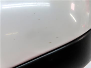 Thumbnail 8: 10-13 LAND ROVER LR4 LEFT DRIVER DOOR HEATED MEMORY DOOR MIRROR (White)