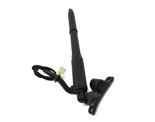 Thumbnail 3: 2007-2013 BMW X5 (E70) RIGHT CARGO HATCH TRUNK LID LIFTGATE SPINDLE DRIVE STRUT