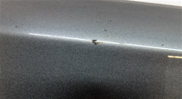 Thumbnail 9: 2015 AUDI Q7 (4L) FRONT RIGHT PASSENGER EXTERIOR LOWER DOOR TRIM MOULDING (Grey)