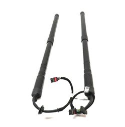 Thumbnail 2: 2014-2021 RANGE ROVER SPORT (L494) REAR LEFT & RIGHT TRUNK SHOCK STRUT SET