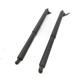 12 MERCEDES GL450 (X164) REAR LEFT & RIGHT HATCH LIFTGATE LIFT SHOCK STRUT SET/2