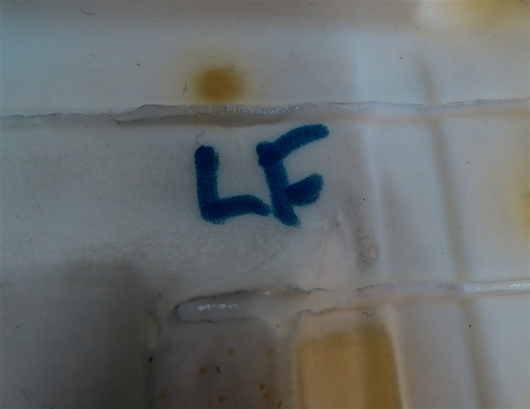 Thumbnail 6: 17-20 LAND ROVER DISCOVERY L462 FRONT LEFT DRIVER LOWER SEAT CUSHION(BLACK)