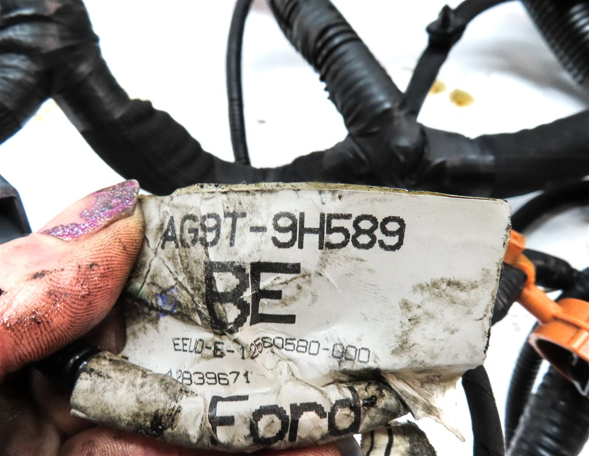Thumbnail 13: 2016 RANGE ROVER EVOQUE (L538) 2.0L TURBO ENGINE MOTOR WIRE WIRING HARNESS