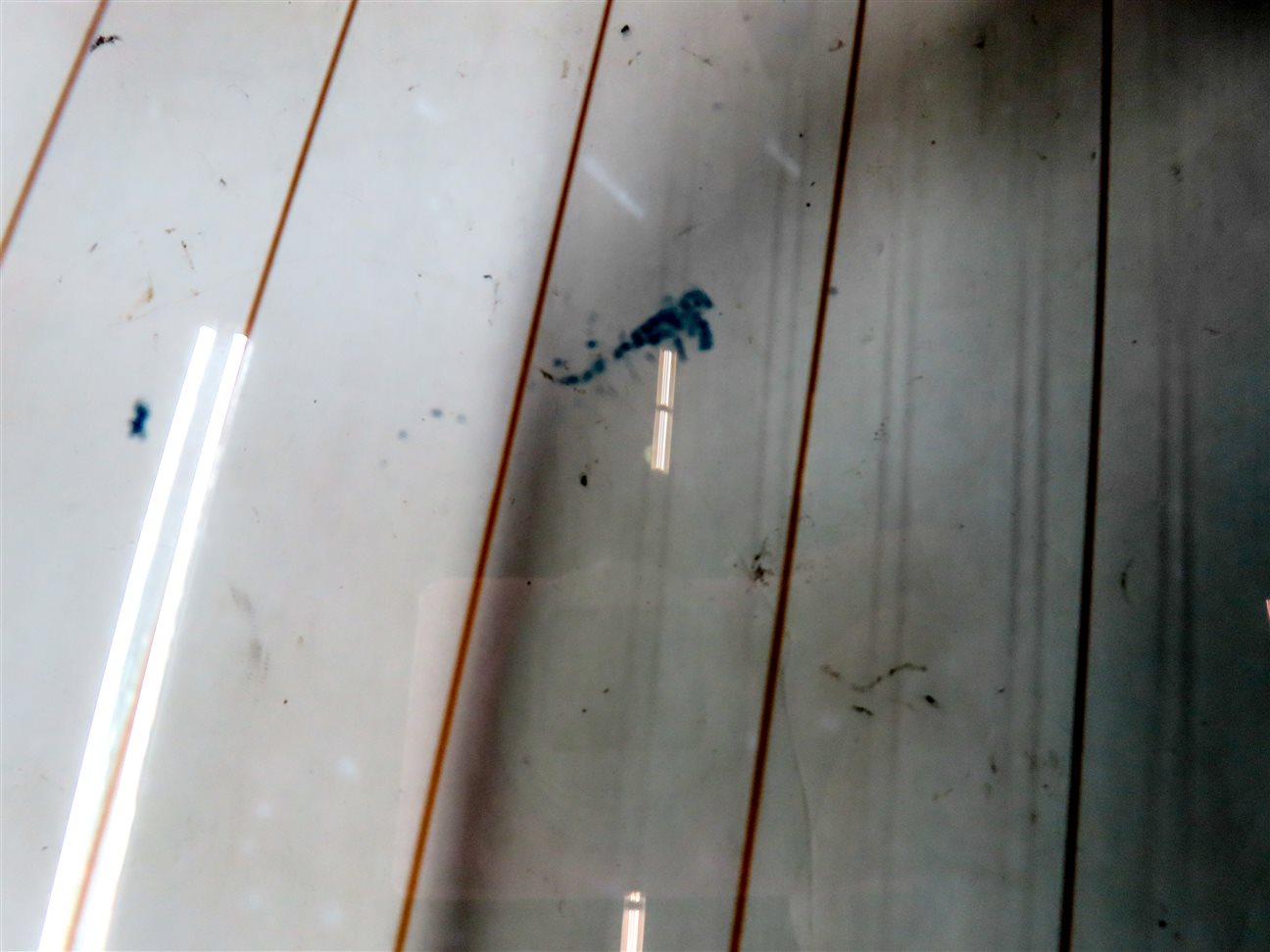 Thumbnail 9: 2003-2008 BMW Z4 (E85) ROADSTER - REAR CONVERTIBLE TOP GLASS WINDOW (HEATED)