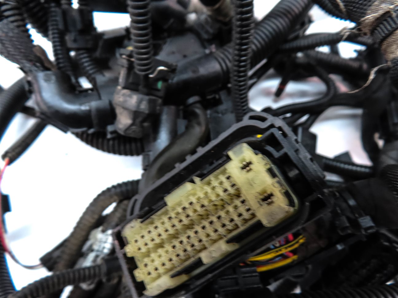 Thumbnail 12: 2013 BMW 750LI (F01) 4.4L (N63) ENGINE WIRE WIRING HARNESS