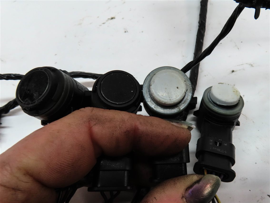 Thumbnail 5: 2017 DISCOVERY SPORT (L550) FRONT PARK PDC SENSOR SET4 (WHITE & BLACK) & HARNESS