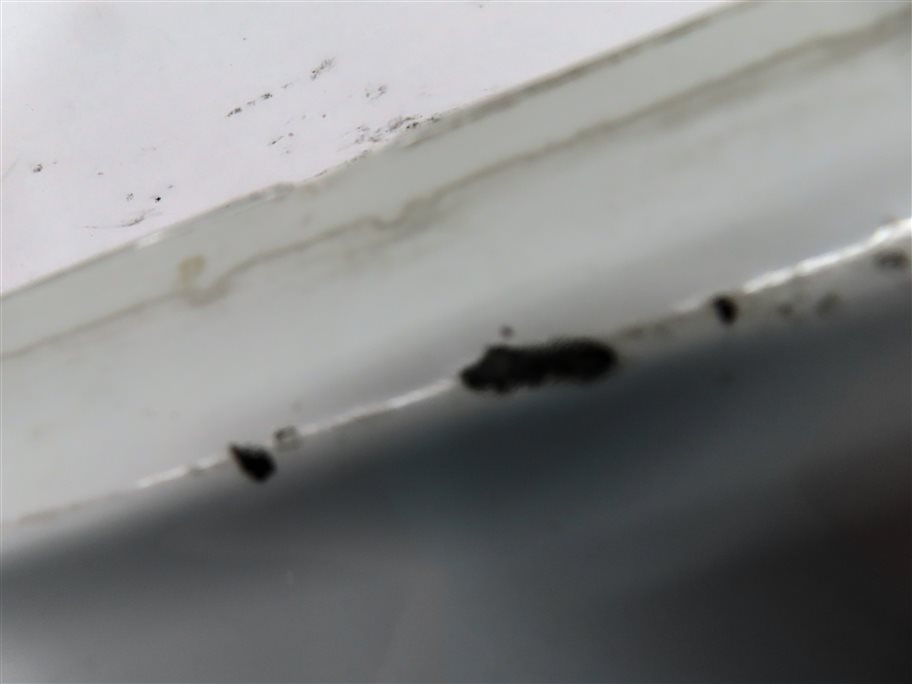 Thumbnail 8: 2012 BMW 750XI (F02) REAR LOWER BUMPER VALANCE TRIM MOULDING PANEL (White)