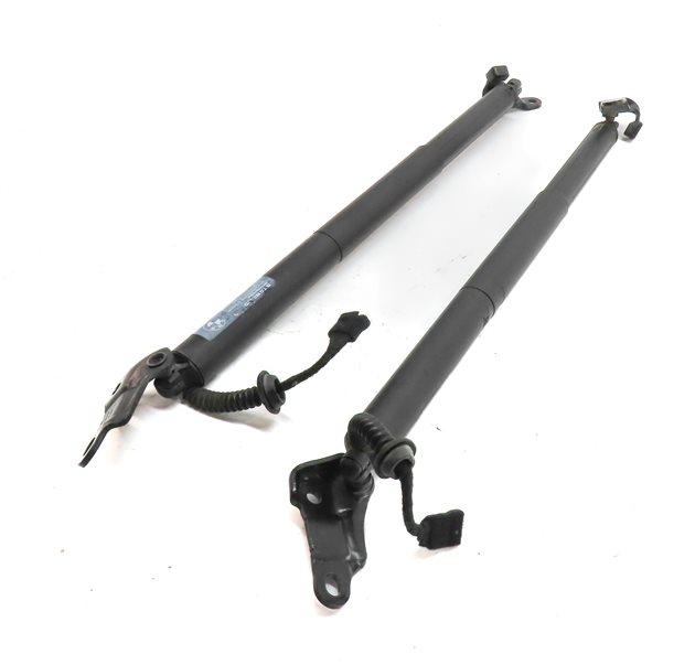 2016-2017 BMW X1 F48 REAR LEFT & RIGHT TRUNK TAILGATE HATCH SHOCK STRUT SET/2