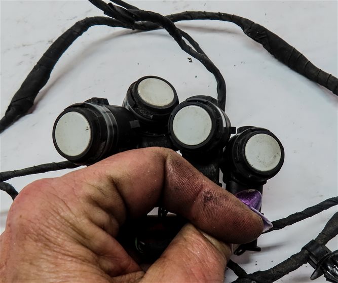 Thumbnail 4: 2014 BMW X5 F15 REAR PARK ASSIST PDC SENSOR SET 4 (White) w/ WIRE WIRING HARNESS
