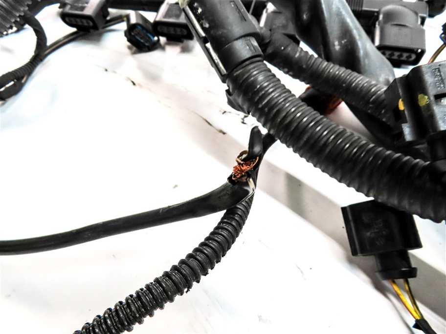 Thumbnail 11: 2013 AUDI Q5 (B8 8R) 2.0L (CPMA) ENGINE MOTOR WIRE WIRING HARNESS LOOM