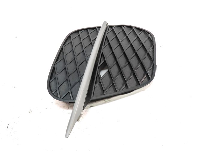 Thumbnail 3: 2011-2013 BMW X5 (E70) FRONT LEFT DRIVER SIDE LOWER BUMPER GRILLE TRIM