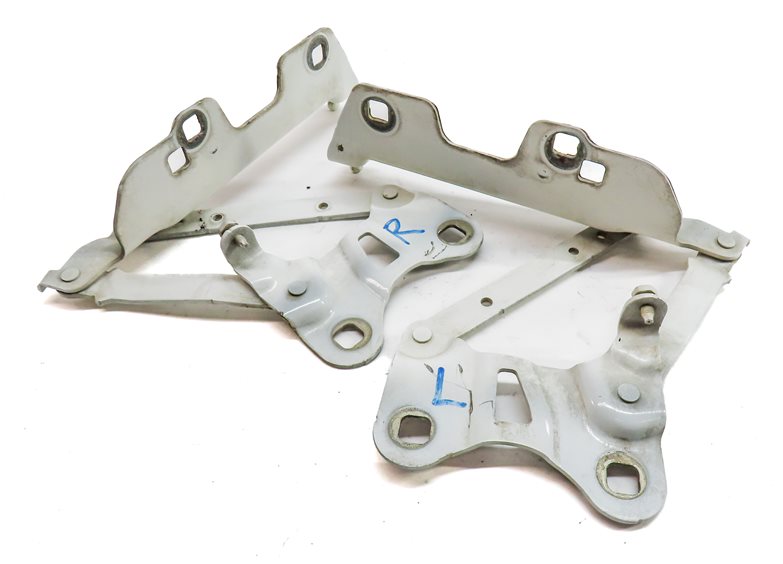 2013-2022 RANGE ROVER SPORT (L405 L494) LEFT & RIGHT HOOD HINGE SET (White)