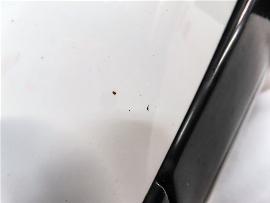 Thumbnail 13: 14-17 RANGE ROVER L405 FRONT RIGHT AUTODIM BLIND SPOT CAMERA DOOR MIRROR (WHITE)