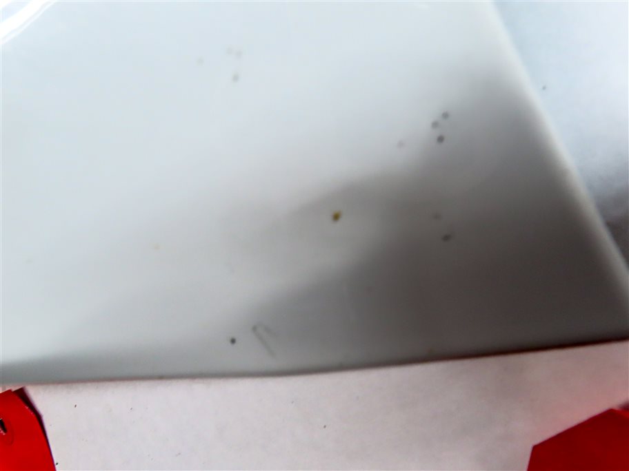Thumbnail 10: 2016 RANGE ROVER (L405) FRONT LEFT DRIVER LOWER FENDER TRIM MOULDING (WHITE)