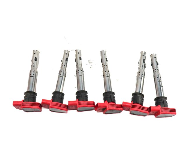 2005-2017 AUDI A4 S4 A5 S5 A6 S6 A7 A8 Q5 SQ5 Q7 R8 S8 IGNITION COIL SET 6