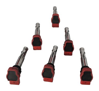 2005-2017 AUDI A4 S4 A5 S5 A6 S6 A7 A8 Q5 SQ5 Q7 R8 S8 IGNITION COIL SET 6