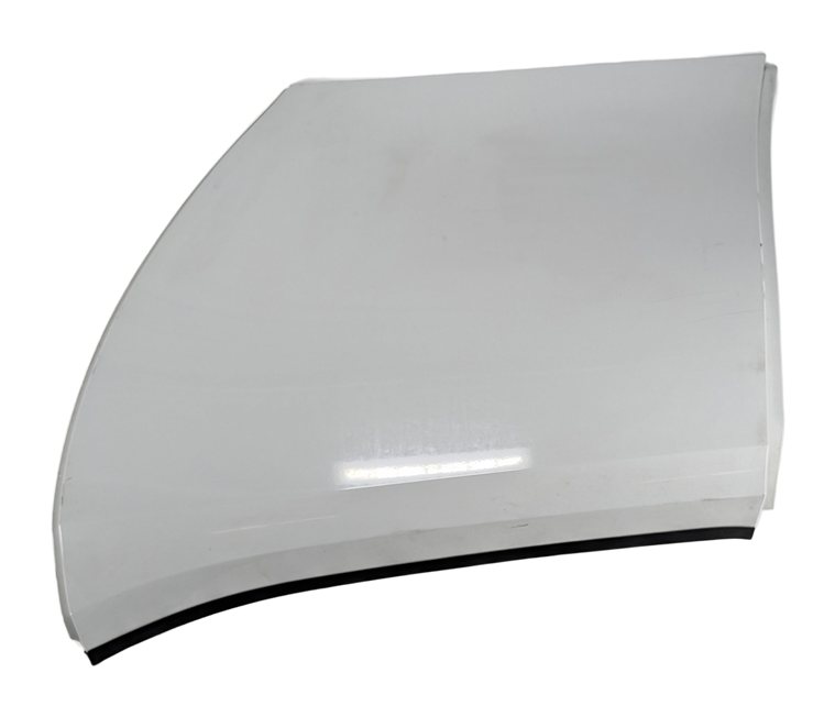 2014-2020 BMW I3 (I01) REAR LEFT DOOR SHELL (Capparis)
