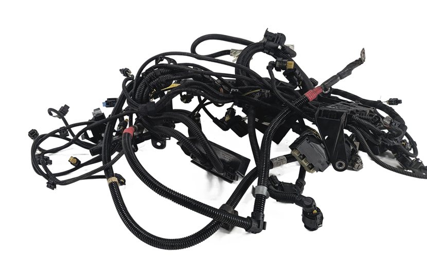 2019 BMW X1 (F48) 2.0L (B46) ENGINE MOTOR WIRE WIRING HARNESS LOOM