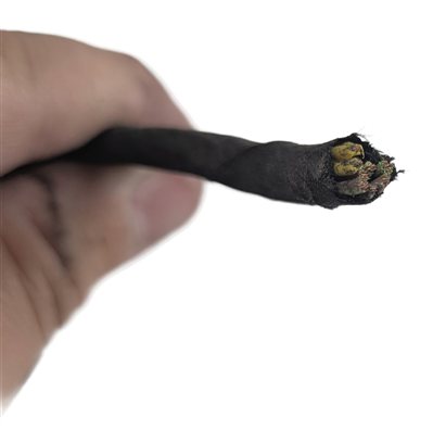 Thumbnail 6: 2016 BMW 535D F10 BUMPER PARK ASSIST PDC SENSOR SET w/WIRING HARNESS (Black)